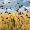 Nuevo diseño de soporte de altavoces al aire libre Registro de energía solar Repellador de aves y animales para granjas de jardín de maíz/campo de cultivo